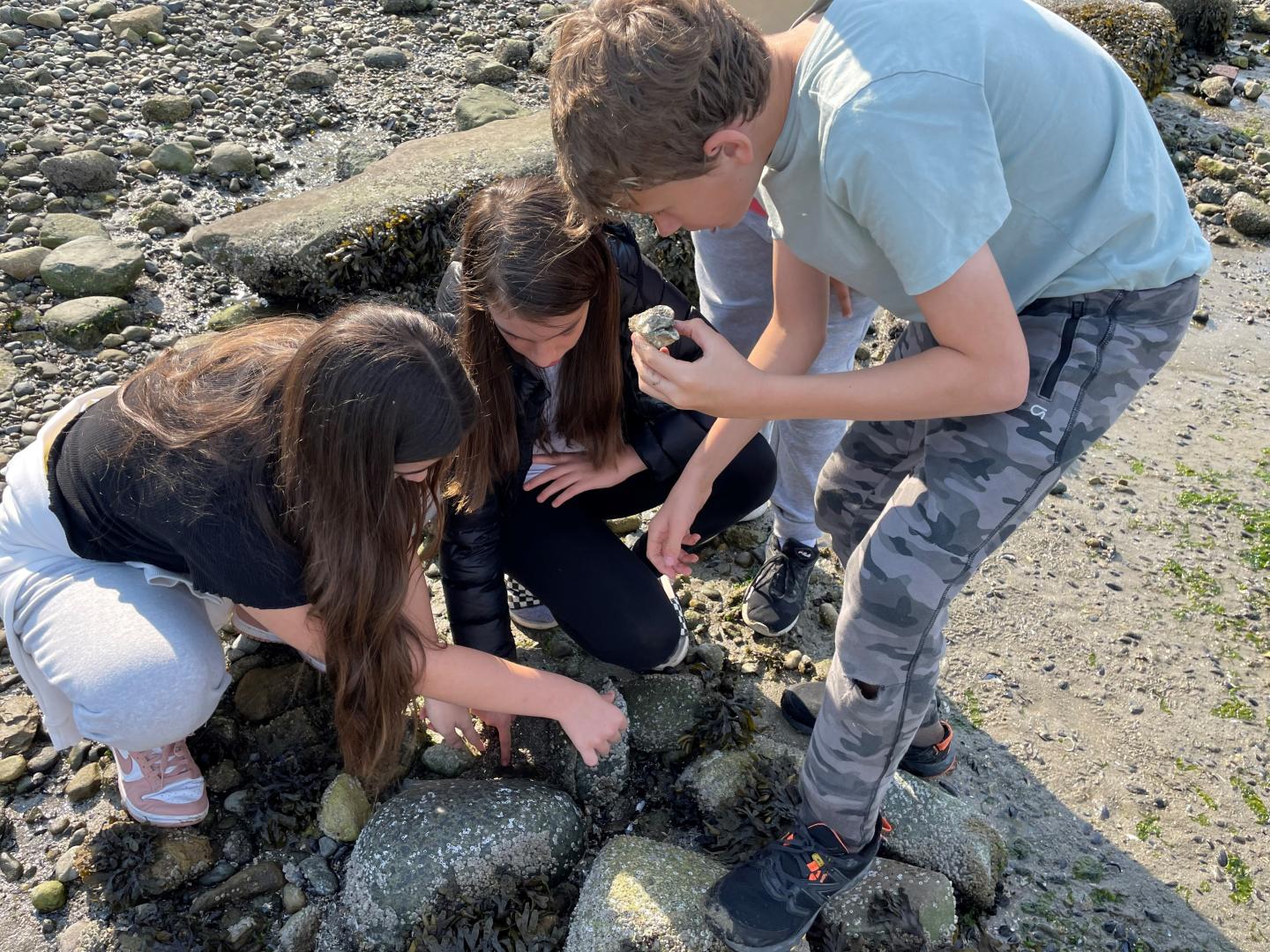 Children looking at rocks on the sand