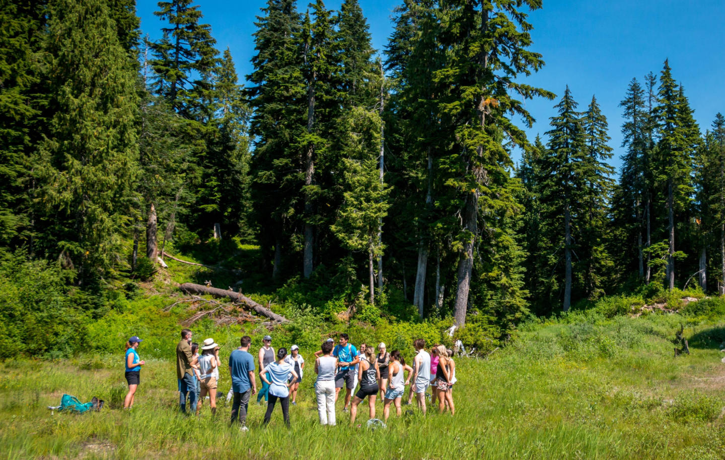 summer adult group activity
