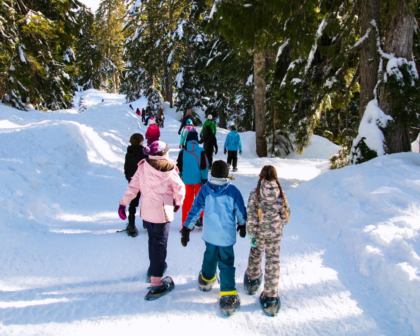 Children snowshoeing on a snowy forest path, surrounded by tall trees.