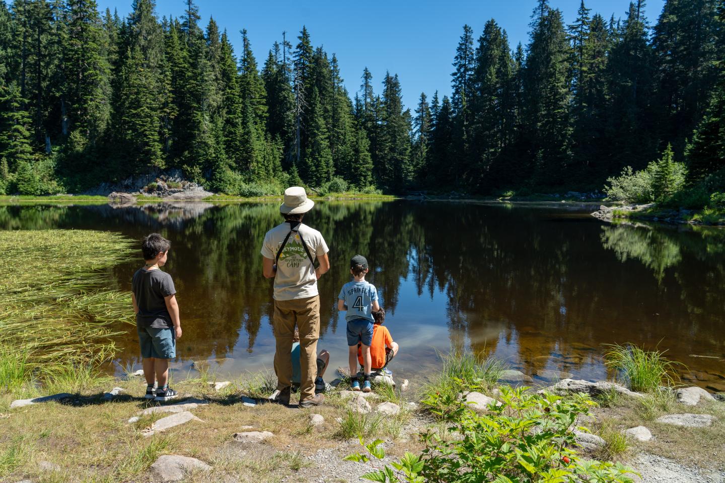 Three children stand by a forest lake on a sunny day.