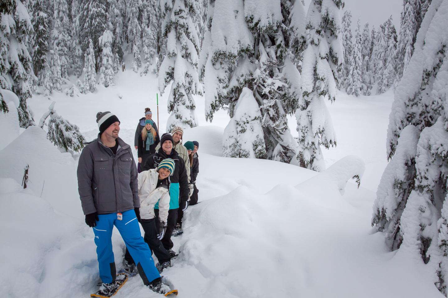 Group snowshoeing in snowy forest, dressed in winter gear.