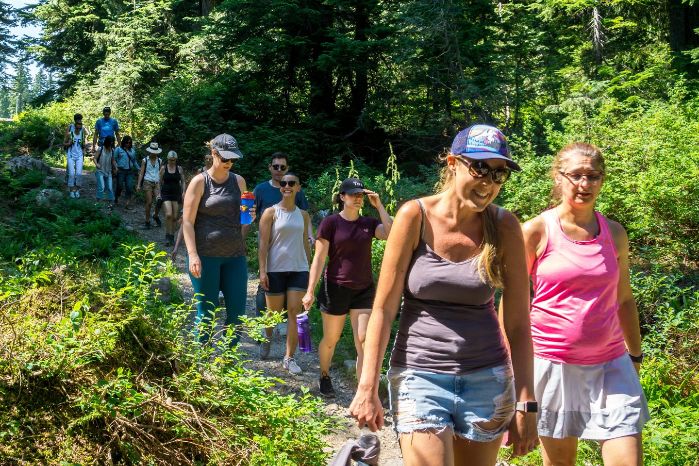 Group hiking on a sunny forest trail, smiling and wearing casual summer clothes.