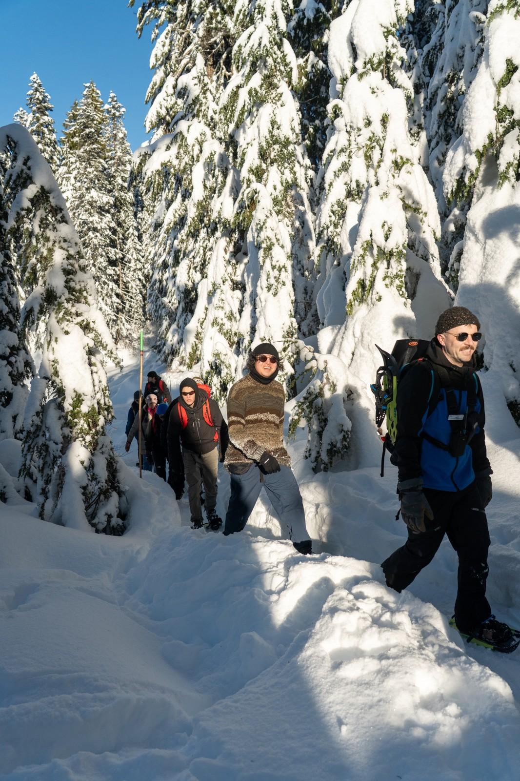 Group hiking in snowy, sunlit forest trail.