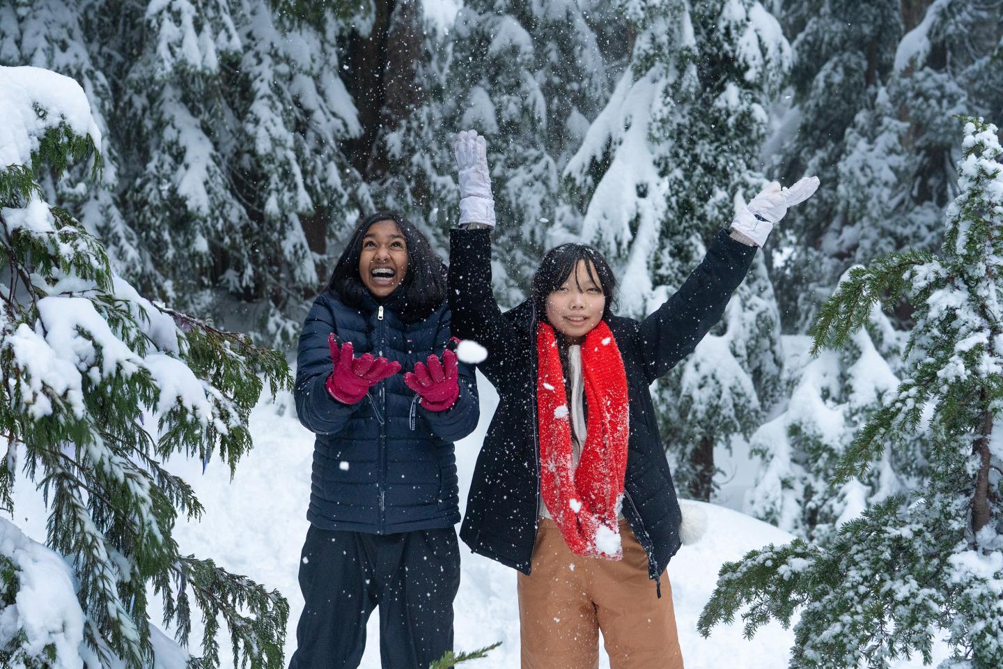 Two people in winter clothing enjoy snow in a forest.