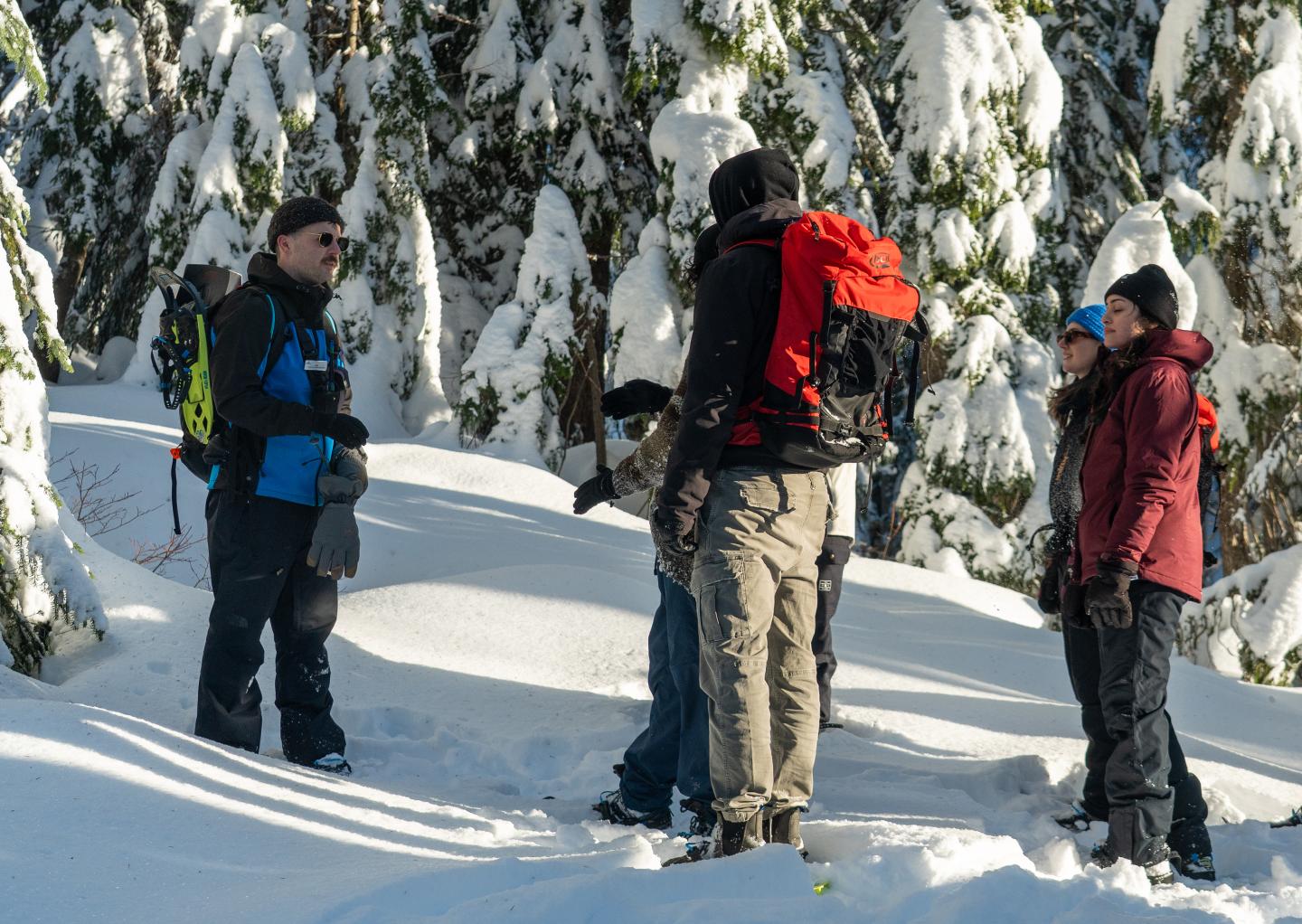 Group of people in winter gear standing in a snowy forest.