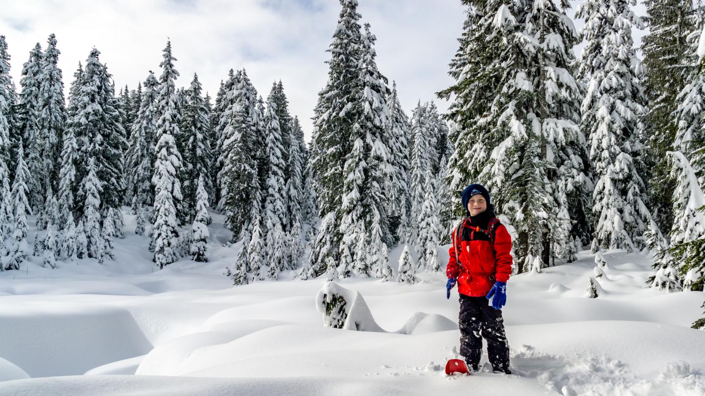 Person in red jacket standing in a snowy forest.