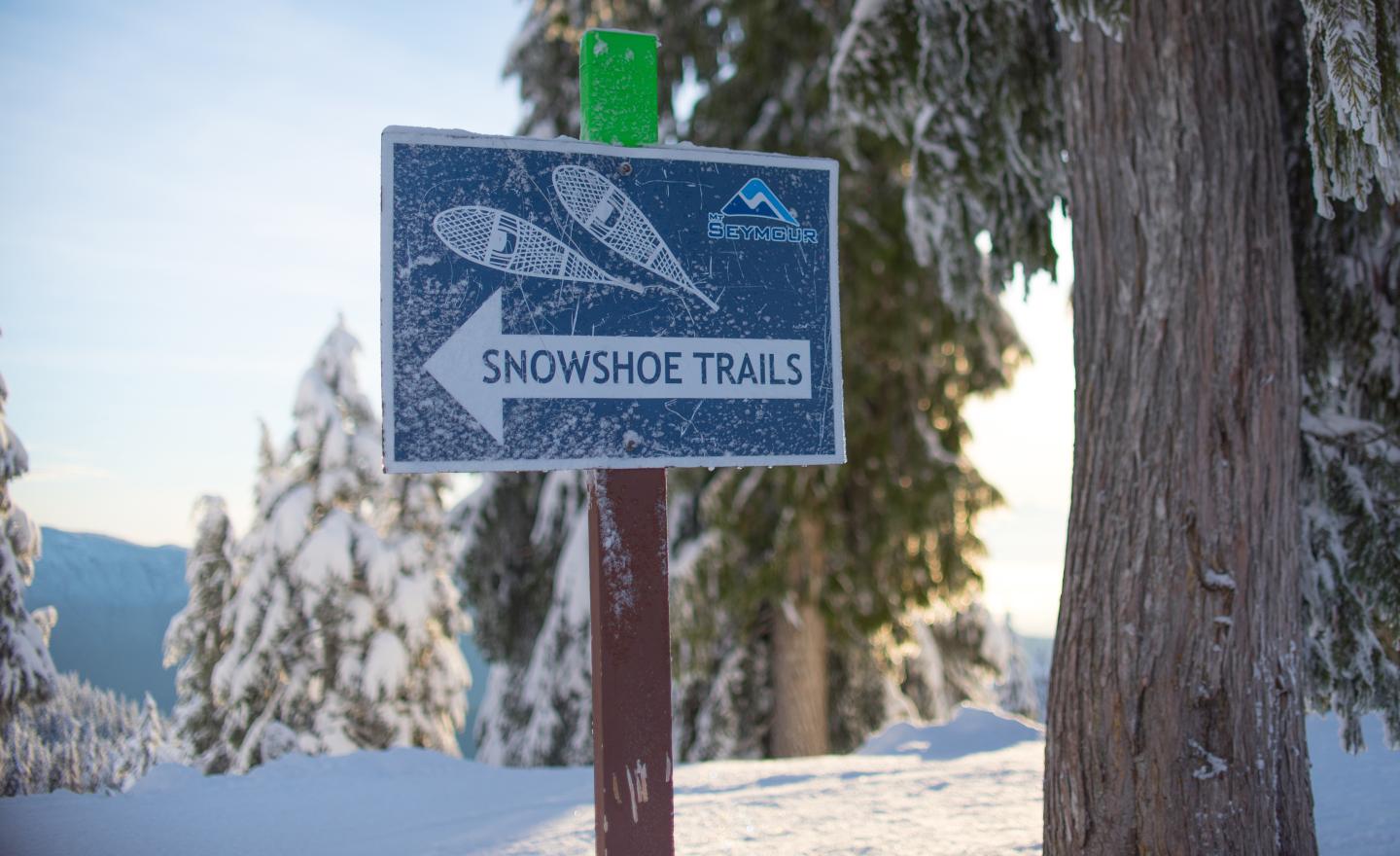 Snowshoe trails sign next to snow-covered trees.