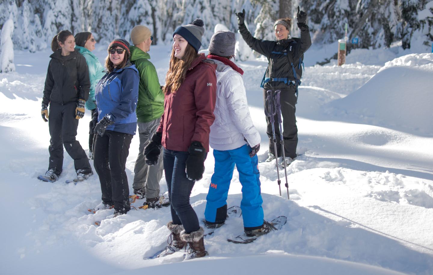 Group of people snowshoeing in a snowy forest.