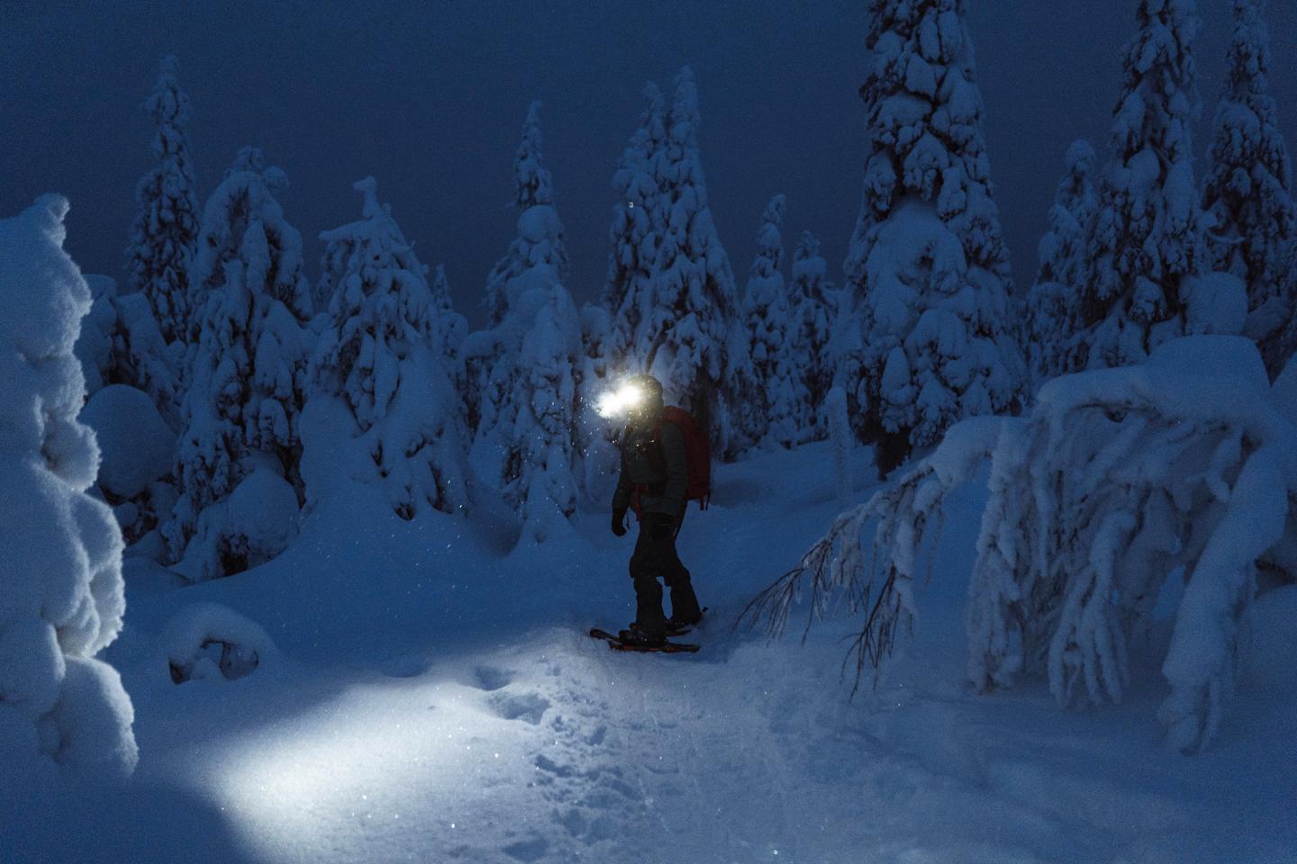 Snowy forest at night, person with headlamp illuminating path.