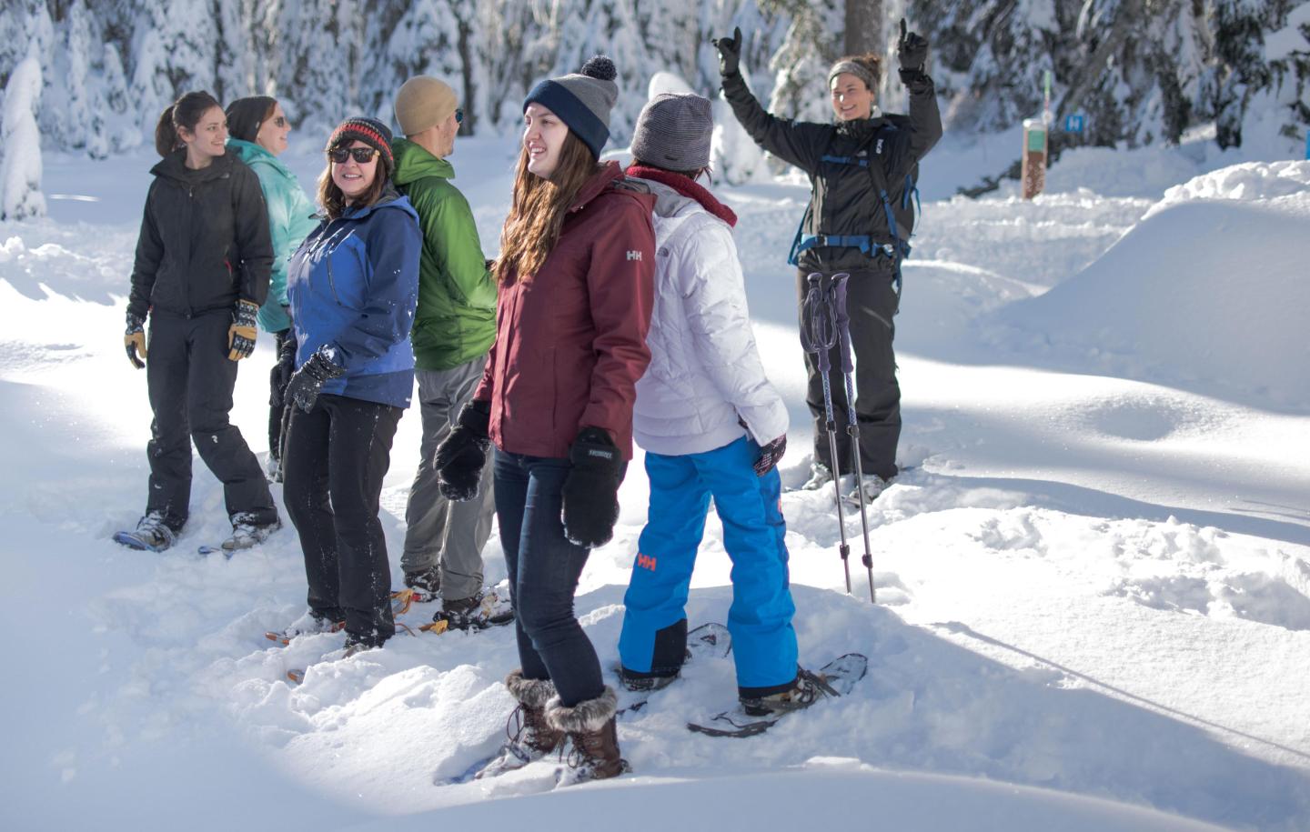 Four people snowshoeing on a sunny, snow-covered forest trail.
