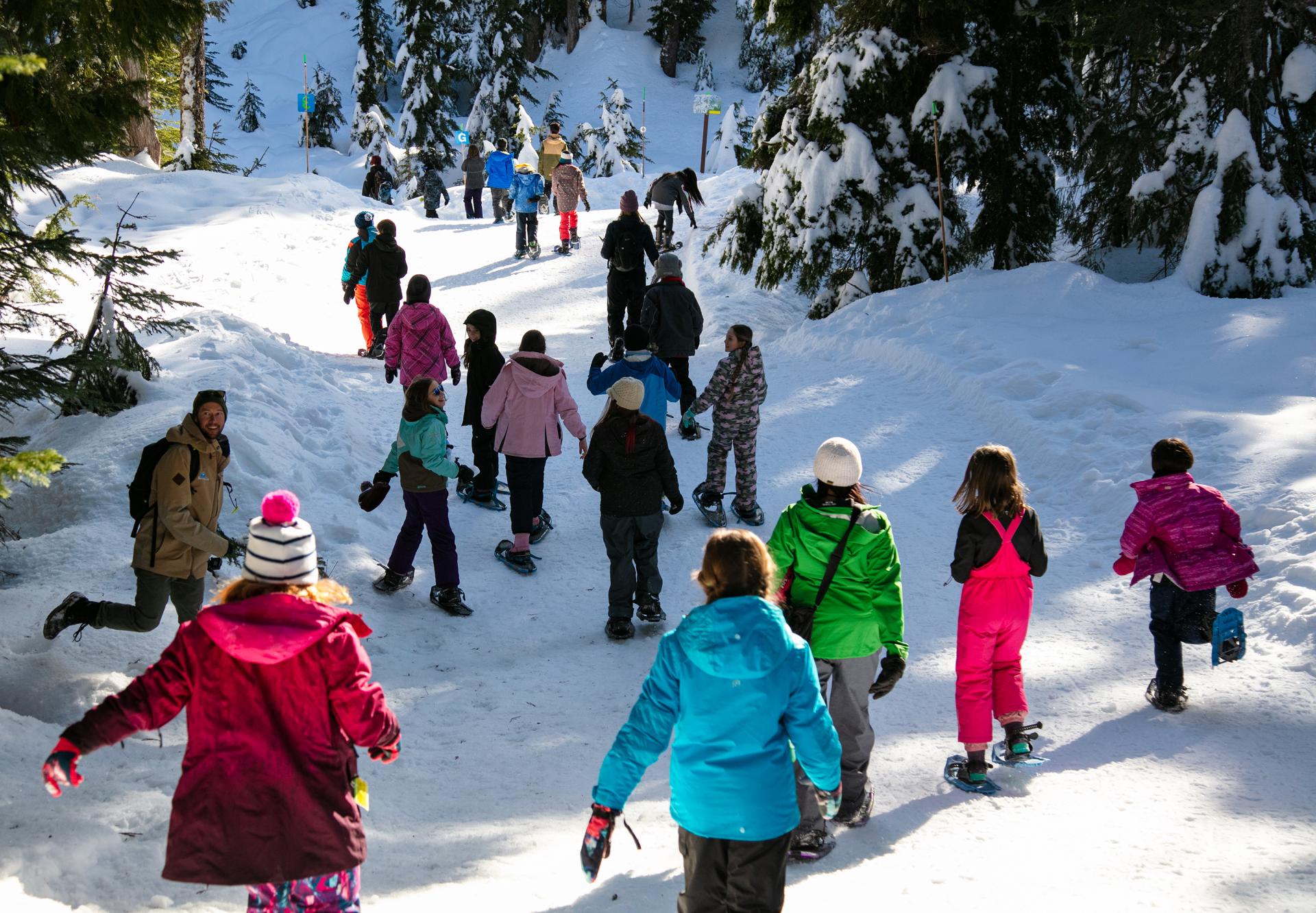 Snowshoe Schools Mt Seymour